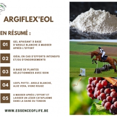 Argiflex'eol Gel à base d'argile blanche Kaolin 500ml - Essence of
