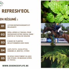 Refresh'eol Solution rafraîchissante en spray ou à diluer 500ml - Essence of Life à 24,90 € - Essence Of Life - CHEV-1246 - S...