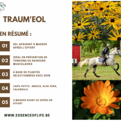 Traum'eol Gel apaisant pour les membres et les muscles, non gras 2,5L - Essence of Life à 134,90 € - Essence Of Life - CHEV-1...