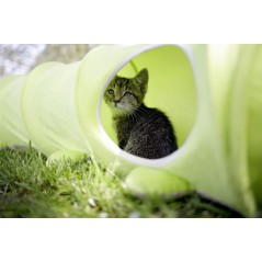 Tunnel pour chat Raupe 170cm à 27,50 € - Kerbl - 81631 - Autres