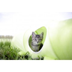 Tunnel pour chat Raupe 170cm à 27,50 € - Kerbl - 81631 - Autres