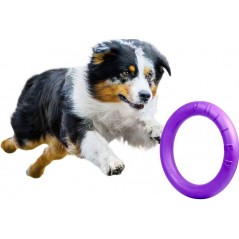 Puller Dog Fitness 280mm à 19,70 € - Supplies For Pets - 6490 - Jouets à lancer/rapporter