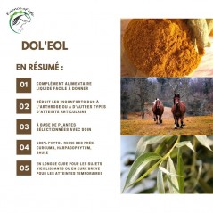 Dol'eol Soutien des articulations et des fonctions locomotrices 1L - Essence of Life à 72,50 € - Essence Of Life - CHEV-1259 ...