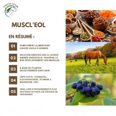 Muscl'eol Soutient la fonction musculaire 5L - Essence of Life à 302,50 € - Essence Of Life - CHEV-1269 - Vitamines et Complé...