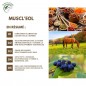 Muscl'eol Soutient la fonction musculaire 1L - Essence of Life