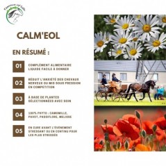 Calm'eol Solution buvable relaxante & apaisante 500ml - Essence of Life à 39,90 € - Essence Of Life - CHEV-1278 - Vitamines e...