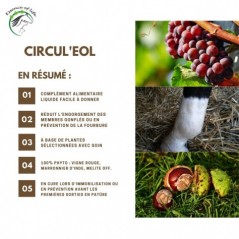 Circul'eol Soutient la circulation 1L - Essence of Life à 72,50 € - Essence Of Life - CHEV-1283 - Vitamines et Compléments