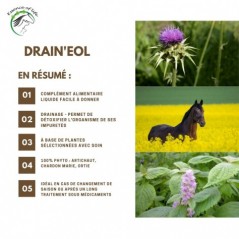 Drain'eol Optimalise le métabolisme & soutient les voies urinaires 3L - Essence of Life à 185,90 € - Essence Of Life - CHEV-1...