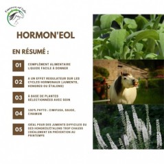 Hormon'eol Soutien de la santé de la jument ou de l'étalon 1L - Essence of Life à 79,90 € - Essence Of Life - CHEV-1291 - Vit...