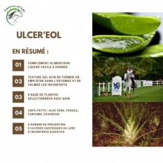 Ulcer'eol Favorise la digestion, apaise les muqueuses irritées 1L - Essence of Life à 79,90 € - Essence Of Life - CHEV-1300 -...