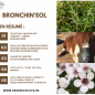 Bronchin'eol Solution à inhaler 500ml + 50x cotons bio - Essence of Life