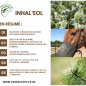 Inhal'eol Solution à inhaler 100ml + 10x cotons bio - Essence of Life