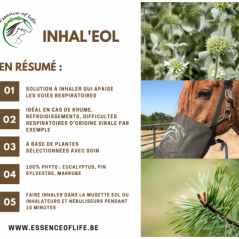 Inhal'eol Solution à inhaler 500ml + 50x cotons bio - Essence of Life à 86,50 € - Essence Of Life - CHEV-1310 - Vitamines et ...