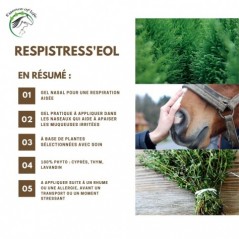 Respistress'eol Pommade nasale, type gel 100ml - Essence of Life à 21,90 € - Essence Of Life - CHEV-1317 - Soins