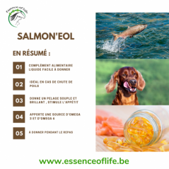 Salmon'eol Huile de saumon 250ml - Essence of Life à 13,50 € - Essence Of Life - CC-1245 - Autres, vitamines et compléments