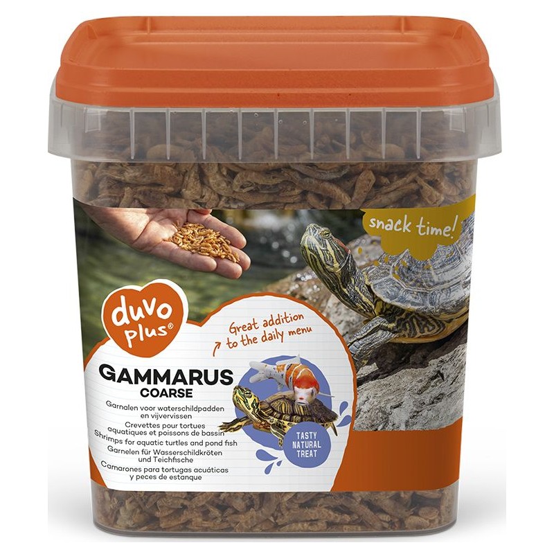 Gammares gros 2,5L - Duvo+