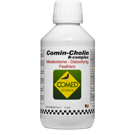 Comin-cholin B-complex, soutient le métabolisme et renforce l’organisme 250ml - Comed à 8,45 € - Comed - 82417 - Complément A...