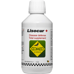 Lisocur Forte, cure aux extraits de plantes 250ml - Comed à 8,50 € - Comed - 82856 - Comed