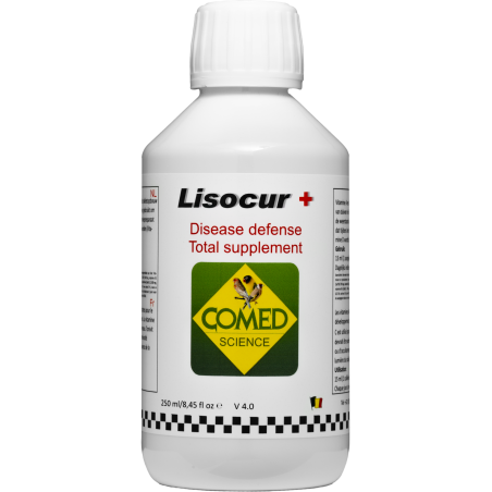 Lysocur Strong, to preserve the balance of the immune system 250ml - Comed 82859 Comed 9,70 € Ornibird