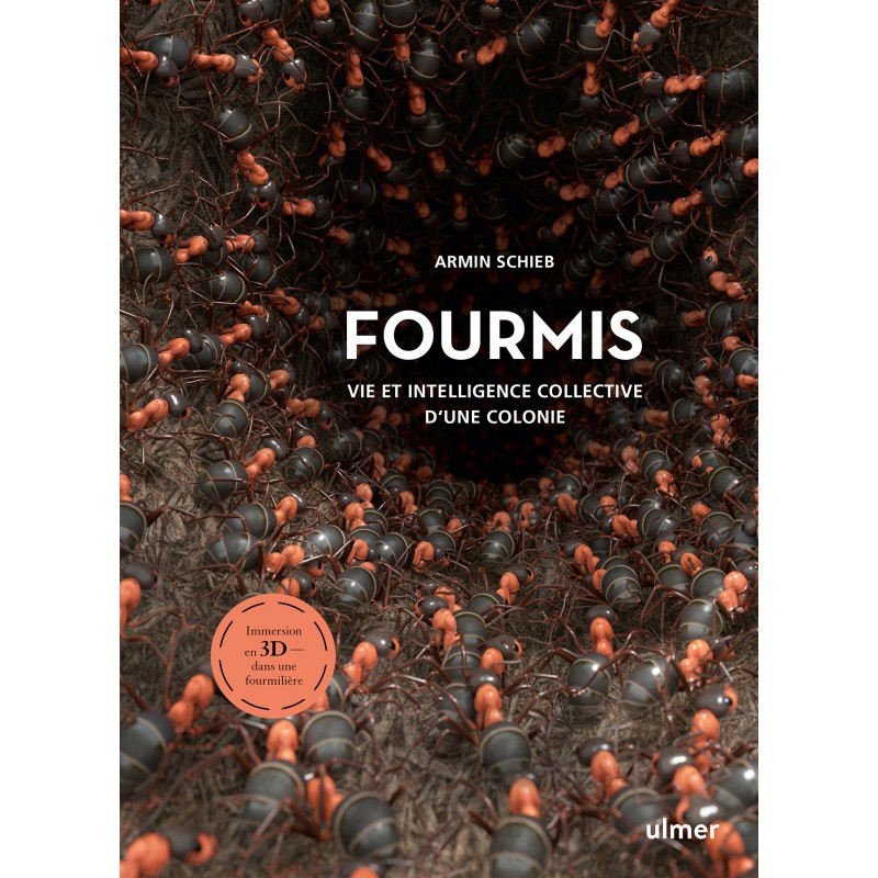 Fourmis - Armin SCHIEB