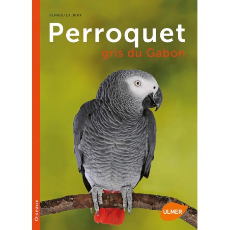 Perroquet gris du Gabon - Renaud LACROIX & Phillippe ROCHER