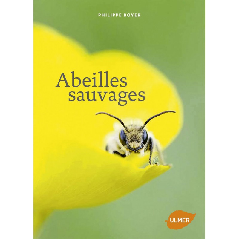 Abeilles sauvages - Philippe BOYER