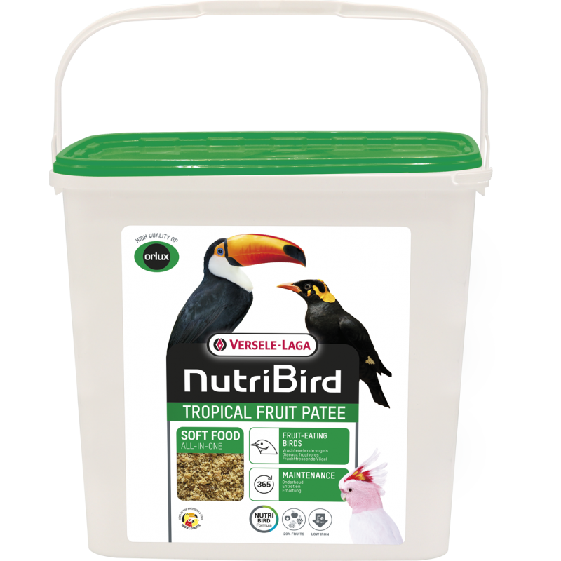 Tropical Fruit Patée Soft Food All-In-One 5kg - Nutribird