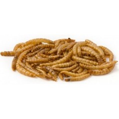 Mealworm, vers de farine déshydratés 10kg - Ornibird 10630-10/kg Private Label - Ornibird 150,75 € Ornibird