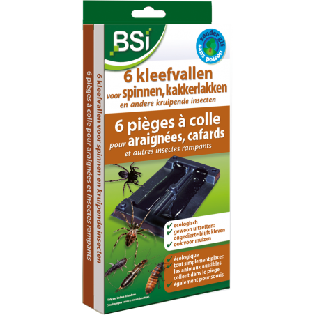 Pièges à colle pour araignées 6x - BSI 15207 BSI 8,50 € Ornibird