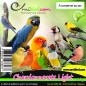 Chardonnerets Light au kg - Ornibird