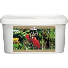 Quiko Lori 3kg à 81,20 € - Quiko - 100403 - Quiko