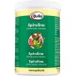 Spirulina, protéines naturelles et acides aminés 500gr - Quiko 200300 Quiko 30,60 € Ornibird