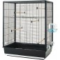 Cage oiseaux Primo 60 noir 80x50x115cm - Vadigran