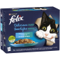 Delicieux Duos Sélection de poissons en gelée 12x85gr - Felix