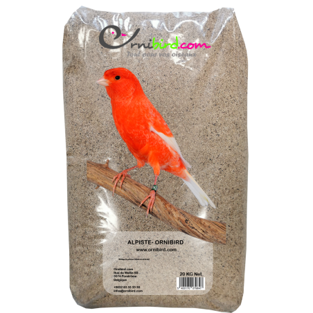 Alpiste ou Millet Plat 20kg - Ornibird à 30,95 € - Private Label - Ornibird - 700135 - Graines simples