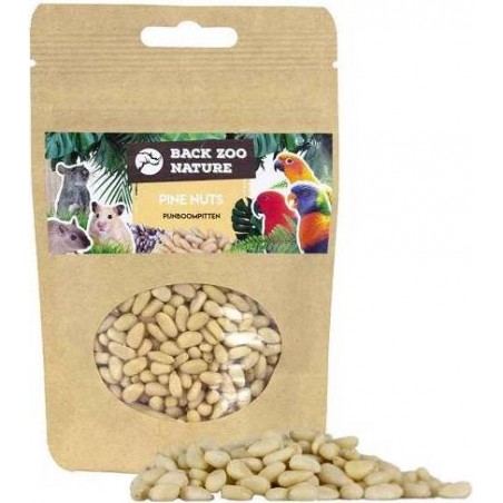 Pignons de Pin 50gr - Back Zoo Nature à 6,00 € - Back Zoo Nature - ZF1840 - Snacks