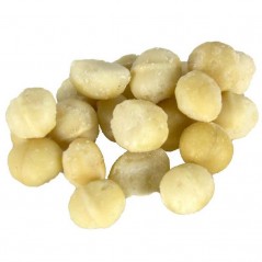 Noix de Macadamia 50gr - Back Zoo Nature à 6,00 € - Back Zoo Nature - ZF1844 - Snacks