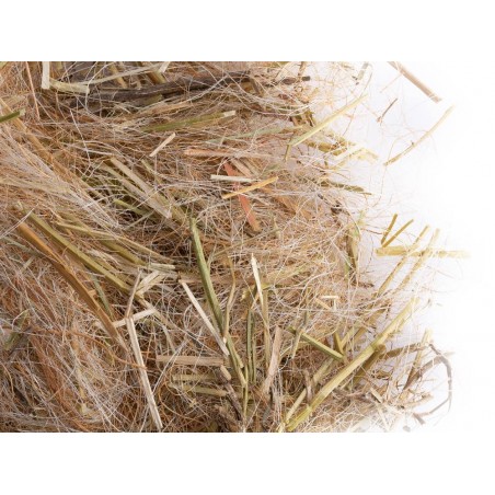 Vegetal MPS37/50-30 Sisal Fibre 2,60 € Ornibird