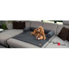 Brooklyn Sofa de Protection 65x100 cm - Jack and Vanilla à 80,50 € - Jack and Vanilla - BROPS1020 - Coussins rectangulaires