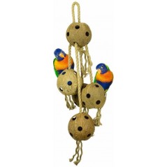 Coconut Chain XL 70cm - Back Zoo Nature à 25,95 € - Back Zoo Nature - ZF1365 - Jouets