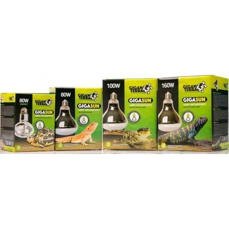 GIGASUN Ampoule mercure 80w Compact - Giganterra à 32,95 € - Giganterra - G04-00079 - Lampes
