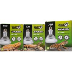 GIGAHID Lampes HID 35w - Giganterra à 48,95 € - Giganterra - G04-00469 - Lampes