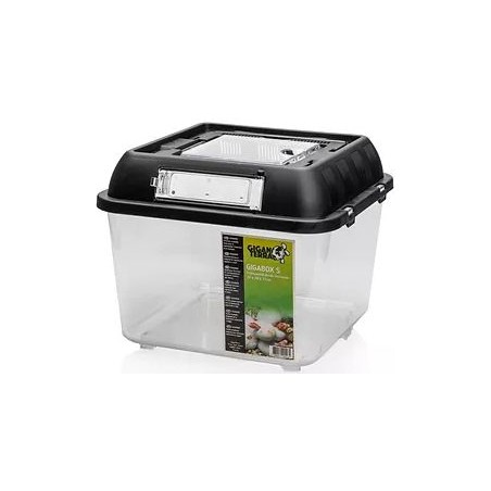 GIGABOX Terrarium empilable S 20x20x17cm - Giganterra à 10,95 € - Giganterra - G04-00423 - Accessoires