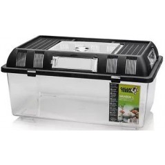 GIGABOX Terrarium empilable L 30,2x19,6x14,7cm - Giganterra à 17,95 € - Giganterra - G04-00425 - Accessoires