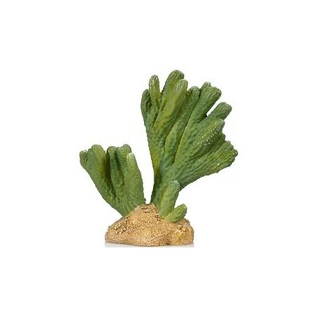 Cactus 3 résine 13x6,5x13cm - Giganterra G04-00296 Giganterra 9,95 € Ornibird