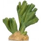 Cactus 3 résine 13x6,5x13cm - Giganterra G04-00296 Giganterra 9,95 € Ornibird