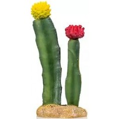 Cactus 6 résine 8x6x18cm - Giganterra à 8,95 € - Giganterra - G04-00299 - Décoration artificielle