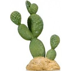 Cactus 7 résine 10,5x7x16cm - Giganterra à 10,95 € - Giganterra - G04-00323 - Décoration artificielle