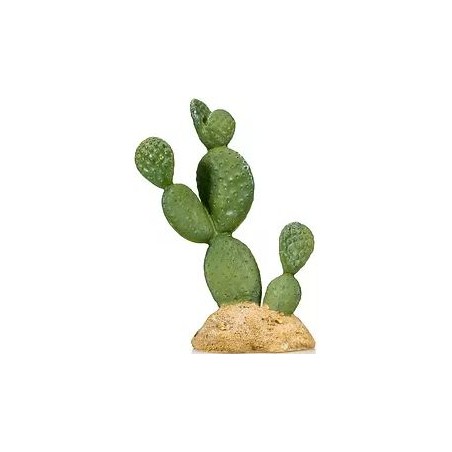 Cactus 7 résine 10,5x7x16cm - Giganterra à 10,95 € - Giganterra - G04-00323 - Décoration artificielle
