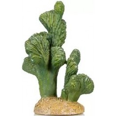 Cactus 8 résine 13x11x18cm - Giganterra à 13,95 € - Giganterra - G04-00324 - Décoration artificielle